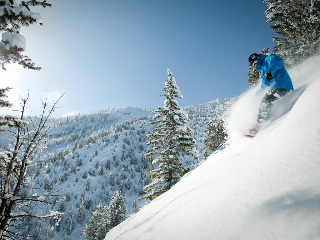 Panorama Mountain Resort - Ski Tip / Tamarack Condos Eksteriør billede